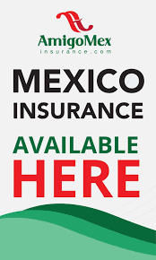 We did not find results for: Amigo Mexico Insurance 99 E San Ysidro Blvd San Diego Ca 92173 Usa