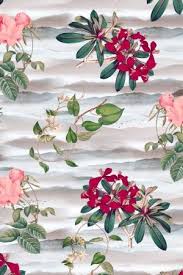 pin by walan on florals floral plants design