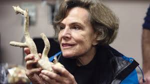 The Last Dive? Funding for Human Expeditions in the Ocean May Have Run  Aground