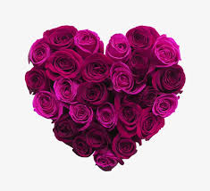 Purple Heart Heart Clipart Rose Purple Png Transparent Clipart Image And Psd File For Free Download In 2020 Beautiful Rose Flowers Rose Flower Beautiful Roses