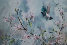 Image result for Anisotes formosissimus