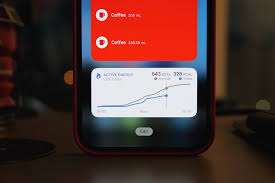 In today's digital world, you have all of the information right the. Hidgets Zeigt Eure Gesundheitsdaten Aus Der Health App Als Iphone Widgets Iphoneblog De