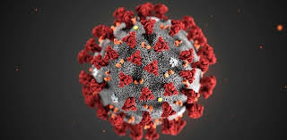 Ilmuwan Dari Buckingham Center Sebut Virus Corona Berasal Dari ...