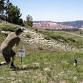 Utah Summer Games | Singles Disc Golf Tournament