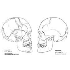 Maybe you would like to learn more about one of these? Top 15 Skull Coloring Pages For Your Little One