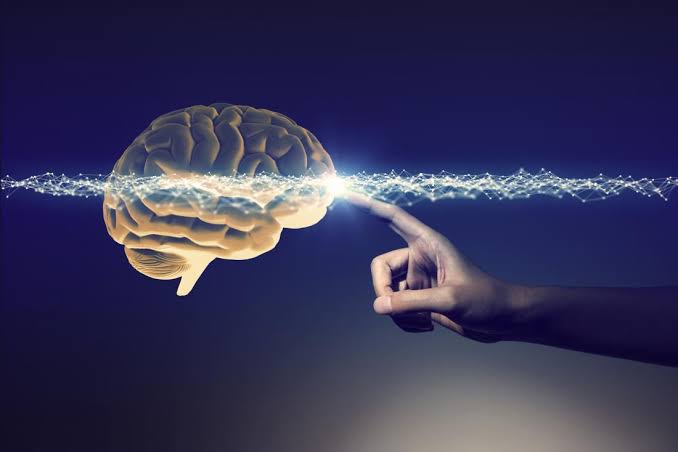 Reversing brain death: Far-fetched or feasible?