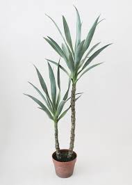 Once harvested, it will drop 6 fibrous leaves, and a yucca fruit will be visible. Fake Yucca Tree Plant In Pot Potted Artificial Plants Afloral Com