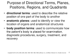 This divides the abdomen into four quadrants. Directional Terms Planes Positions Regions And Quadrants Ppt Download