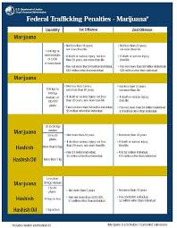 Crew Scheduler Acadian Schedule One Drugs