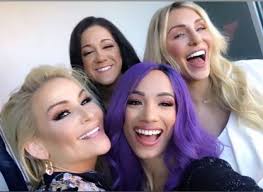 Pin On Wwe Pay Per Views Wrestlemania