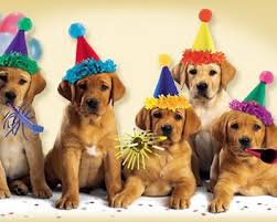 Browse all birthday ecards and you are sure to find ecards which are perfect for your loved ones. Music Birthday Ecards American Greetings