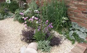 4 Praxis Tipps Rund Um Den Kiesgarten Kiesgarten Garten Garten Pflanzen