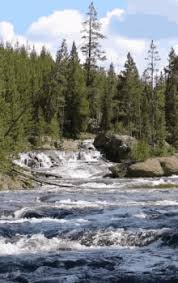 Large collection of the best river gif gifs. Animated River Gifs Tenor