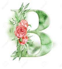 Floral letters white letters wood letters black letter alphabet letters to print printable letters alphabet and numbers letter s designs birthday cake gif. Floral Watercolor Alphabet Monogram Initial Letter B Design Stock Photo Picture And Royalty Free Image Image 95113840