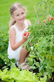 We did not find results for: Tomaten Pflanzen Diy Academy