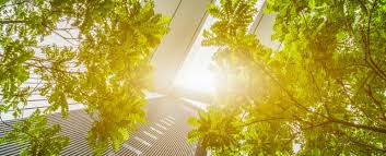 So, a plant that's directly under a grow light will receive far more light intensity than one that's a few feet away. Why Do Plants Need Sunlight Ambius