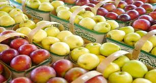 Manzana Contraindicaciones Efectos Secundarios Propiedades Beneficios Usos Y Tipos Unisima Com