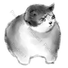 Gambar Kucing Bebas Lemak Elemen Grafik Psd Percuma Muat Turun Pikbest
