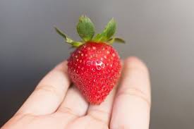 Keto Fruit List Fruit List Keto Fruit Fruit