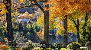 Nestled in the beautiful cedar woods of the ozarks, and just adjacent to big cedar lodge, branson ce. Accommodations Lodges Cabins Cottages More Big Cedar Lodge