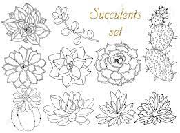 Add a dash of heat or cold and viola you got yourself a beautifully colourful plant. Doodle Floral Background In Vector With Doodles Black And White Royalty Free Cliparts Vectors And Stock Illustration Image 117885663