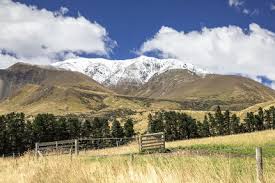 We did not find results for: Mountain Alps Scenery In South New Zealand Landscape Indivstock