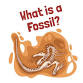 What is a Fossil? event image