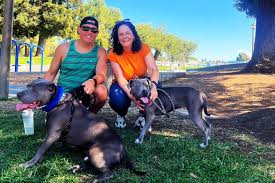 Medical — Blog 2 — California Bully Rescue