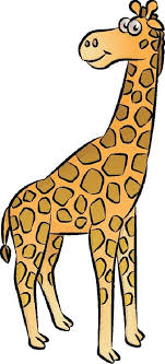 How To Draw A Giraffe In 5 Steps Giraffe Drawing Easy Giraffe Drawing Giraffe