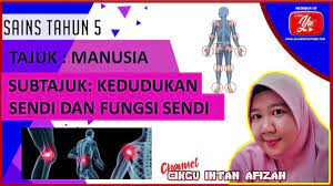 Manusia dapat bergerak dan beraktivitas karena terdapat persendian yang menghubungan antara tulang satu dengan yang lain. Kedudukan Sendi Dan Fungsi Sendi Sains Tahun 5 Semakan Kssr Youtube