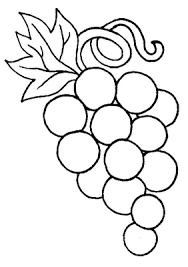 en automne le raisin coloriage fruits coloriages de cadeaux noel imprimables