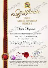 Usui Reiki 1 Seviye Uyumlama Ve Egitim Programi 21 Gunluk Chi Ball Sifa Arinma Sheepha Butunsel Sifa Akademi