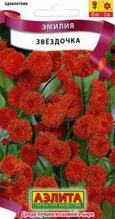 Image result for Emilia coccinea