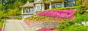 We've also made sure to include options for light, moderate, and heavily trafficked areas of your yard. How To Garden On A Slope Bioadvanced