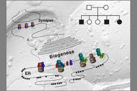 The principle that living organisms are produced only from other living organisms. Eine Frage Des Nachschubs Presse Und Offentlichkeitsarbeit