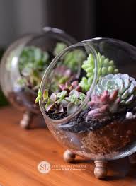 How To Make A Glass Globe Terrarium Diy Succulent Dish Garden Michaelsmakers Bystephanielynn Succulent Bowls Diy Succulent Terrarium Succulents In Glass