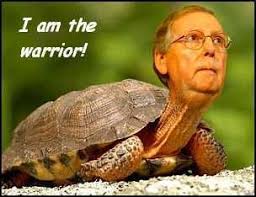 The best gifs for mitch mcconnell turtle. Mitch Mcconnell Got Beat Up By A Girl Madmikesamerica