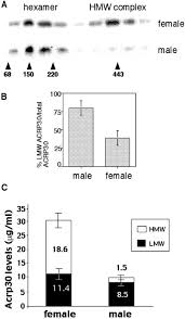 Maybe you would like to learn more about one of these? Structure Function Studies Of The Adipocyte Secreted Hormone Acrp30 Adiponectin Journal Of Biological Chemistry