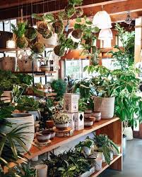 Pin By Kelly Cameron On Plant Shop Garden Center Displays Plants Hanging Plants Indoor