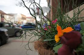 Locally Grown (LoGro) Northfield – The people, scenes & events around  Northfield, MN