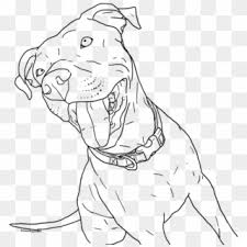 Super mario coloring pages for kids: Cute Baby Pitbull Coloring Page Drawing Of Baby Pitbull Hd Png Download 789x833 273961 Pngfind