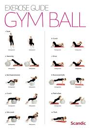 Stability Ball Upper Planks Decline Push Up Incline Push Up Lower Leg Squeeze Ball Torso Rotati Workout Guide Ball Exercises Gym Ball