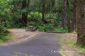 Beverly Beach State Park Campsite Photos Campsite Availability Alerts State Parks Campsite Beach