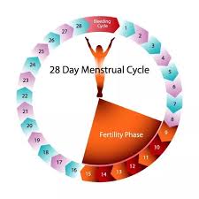 Safe Period Chart In Hindi Www Bedowntowndaytona Com