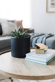 Top 20 Hard To Kill Indoor Plants L Style Curator Plant Decor Indoor House Plants Indoor Coffee Table Plants