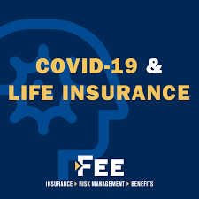 Get free instant life insurance quotes from the best life insurance companies in the marketplace. Life Insurance Blog Fee Insurance