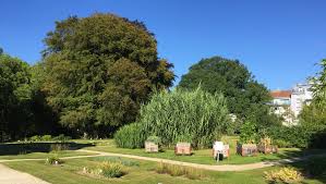Der botanische garten der universität wien beherbergt auf ungefähr 8 ha über 11.500. Botanischer Garten Wien The Gardening Fox