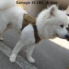 We did not find results for: Tactical Police K9 Military 1050d Nylon Molle System Dog Training Dog Harness Hunting Vest Clothes Load Bearing Harness Hunting Vests Aliexpress