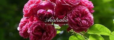 We did not find results for: The 7 Best Options For Flower Delivery In Australia 2021