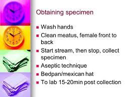 Specimen Collection Role Of The Nurse Nurses Often Assume The Responsibility Of Specimen Collection Specimens Consist Specimens Consist Urine Urine Stool Ppt Download